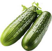 Organic Cucumbers - for a healthy life